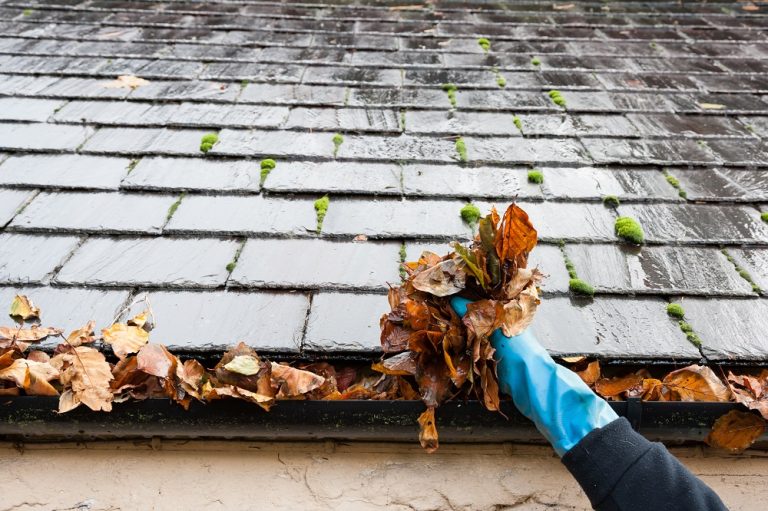gutter cleaning & replacement