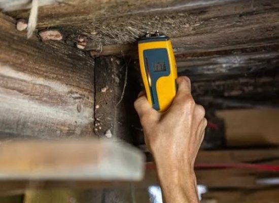 moisture mapping reports