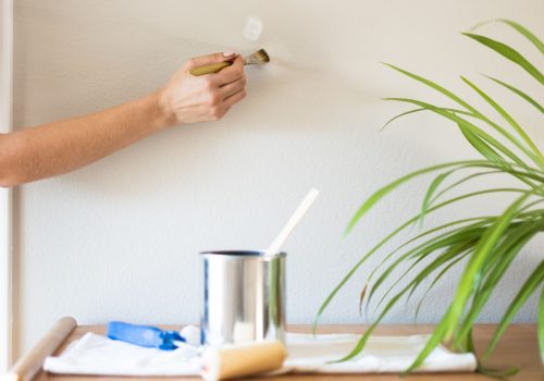 Handyman Services painting touch ups